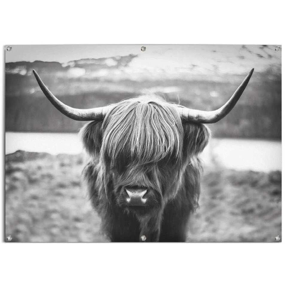 Tuinposter Schotse Hooglander 100x140 Cm Zwart-Wit 3 Tuinposter Schotse Hooglander 100x140 Cm Zwart-Wit