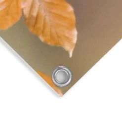 Tuinposter Goudvink 60x80 Cm Oranje 9 Tuinposter Goudvink 60x80 Cm Oranje -Populair Tuinmeubilair 1000088338 0103