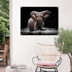Tuinposter Olifant 60x80 Cm Bruin 7 Tuinposter Olifant 60x80 Cm Bruin -Populair Tuinmeubilair 1000088369 0101