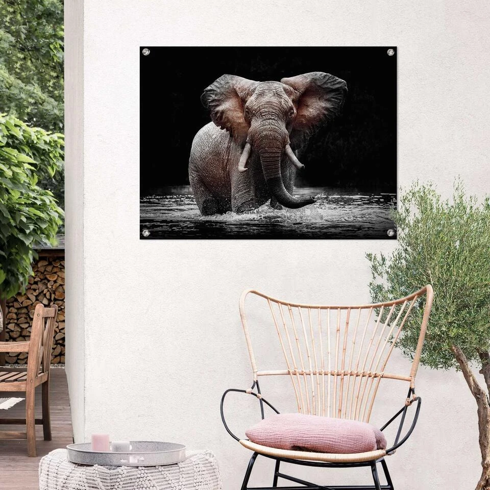 Tuinposter Olifant 60x80 Cm Bruin 4 Tuinposter Olifant 60x80 Cm Bruin - Afbeelding 2