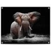 Tuinposter Olifant 60x80 Cm Bruin -Populair Tuinmeubilair 1000088369