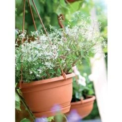 Prosperplast Prosperplats Bloempot Hangend - Terracotta - Kunststof - 24 Cm 5 Prosperplast Prosperplats Bloempot Hangend - Terracotta - Kunststof - 24 Cm -Populair Tuinmeubilair 1526546323 0101