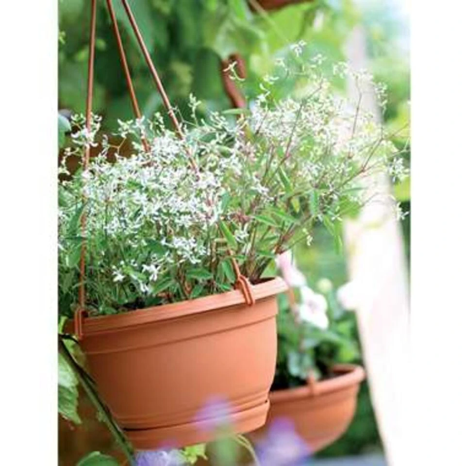 Prosperplast Prosperplats Bloempot Hangend - Terracotta - Kunststof - 24 Cm 4 Prosperplast Prosperplats Bloempot Hangend - Terracotta - Kunststof - 24 Cm - Afbeelding 2