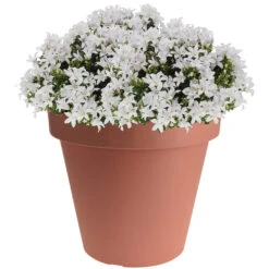 Merkloos Bloempot - Terracotta - Kunststof - Geschikt Voor Buiten - 35 Cm -Populair Tuinmeubilair 1643591826 0101