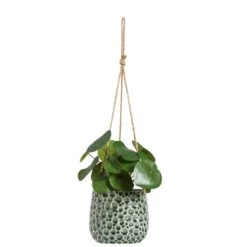 Hangpot Hangend Paul - Donkergroen - 13,5xØ14,5 Cm -Populair Tuinmeubilair 71127134 0140