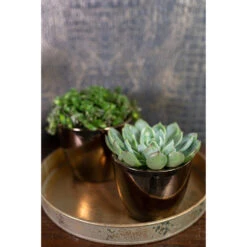 Steege Bloempot - Goud - Scandinavische Look - Keramiek - 13 X 11 Cm -Populair Tuinmeubilair 750d824bd9d34f0ea7981c37099dcddf