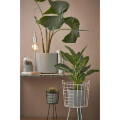 Mica Decorations Bloempot - Lichtgrijs - Mat - Keramiek - 28 X 26 Cm -Populair Tuinmeubilair 84c0dba6ec6145f38efdafdf2e3a33c5