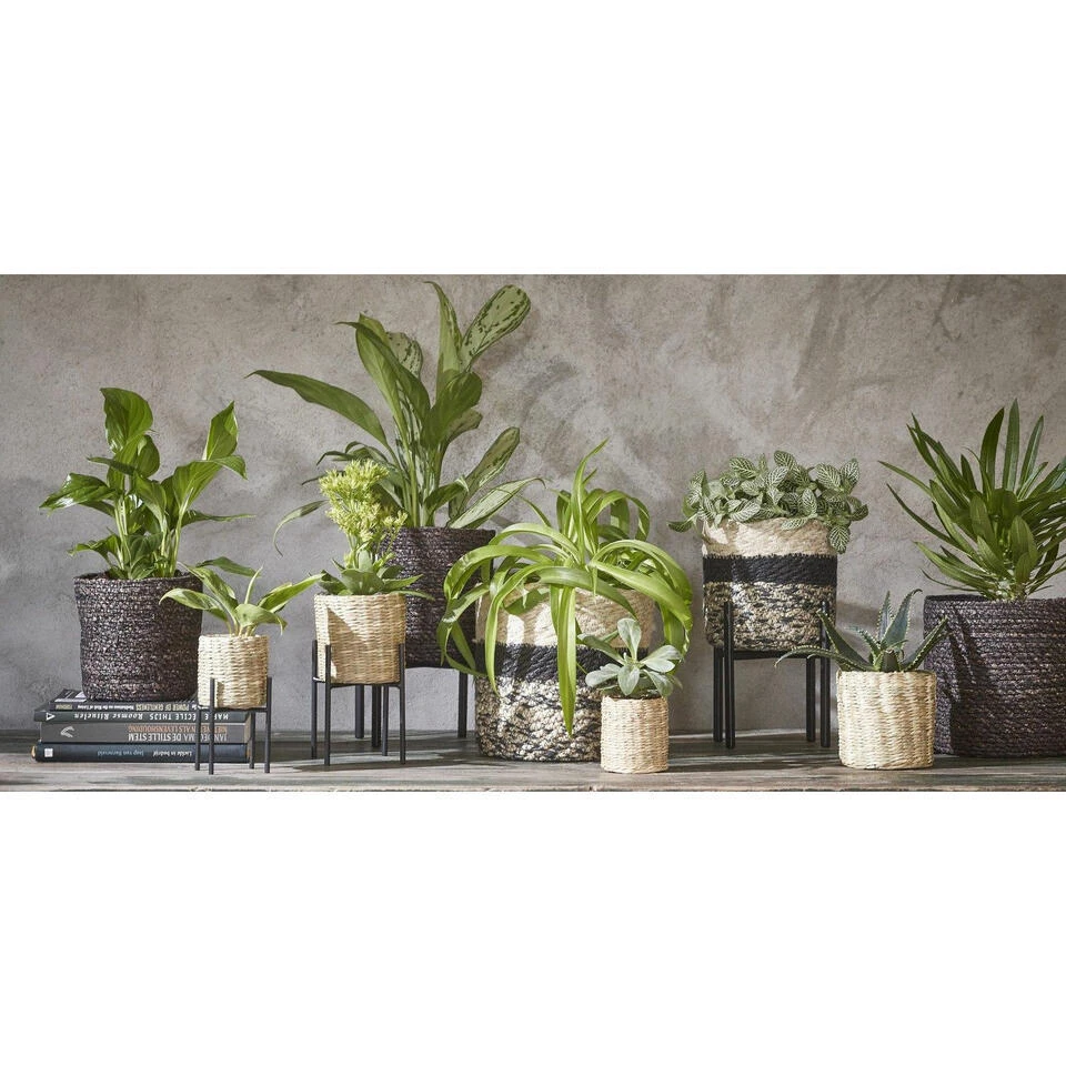 Mica Decorations Bloempot - Rotan - Zwart - Jute - 16 X 16 Cm 5 Mica Decorations Bloempot - Rotan - Zwart - Jute - 16 X 16 Cm - Afbeelding 3