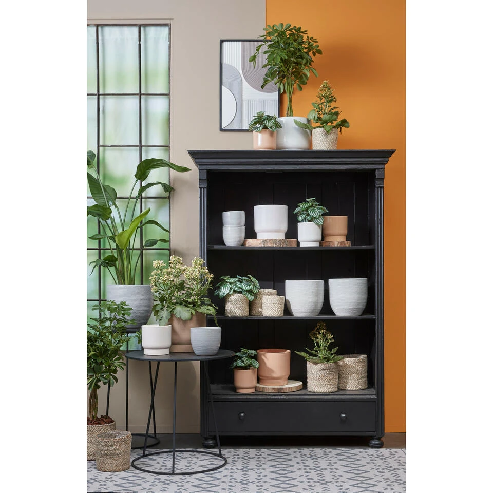 Mica Decorations Plantenpot - Terracotta - Lichtgrijs - D16/H14 Cm 4 Mica Decorations Plantenpot - Terracotta - Lichtgrijs - D16/H14 Cm - Afbeelding 2