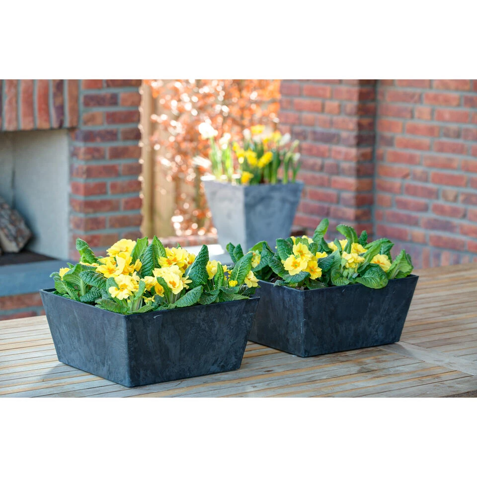 Ter Stege Plantenbak - Kunststof Met Steenpoeder - Zwart - 30 X 14 Cm 4 Ter Stege Plantenbak - Kunststof Met Steenpoeder - Zwart - 30 X 14 Cm - Afbeelding 2