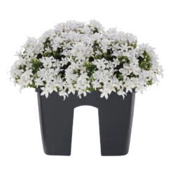 Prosperplast Plantenbak - Railing - Kunststof - 24 Cm - Antraciet -Populair Tuinmeubilair ed5d93d10097496a88089ae90063c150