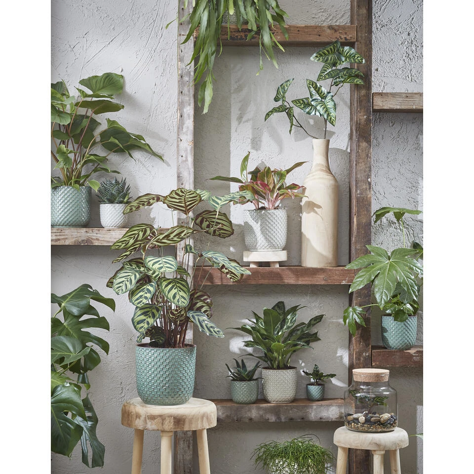 Mica Decorations Daan Bloempot - H17,5 X Ø19 Cm - Wit 6 Mica Decorations Daan Bloempot - H17,5 X Ø19 Cm - Wit - Afbeelding 4