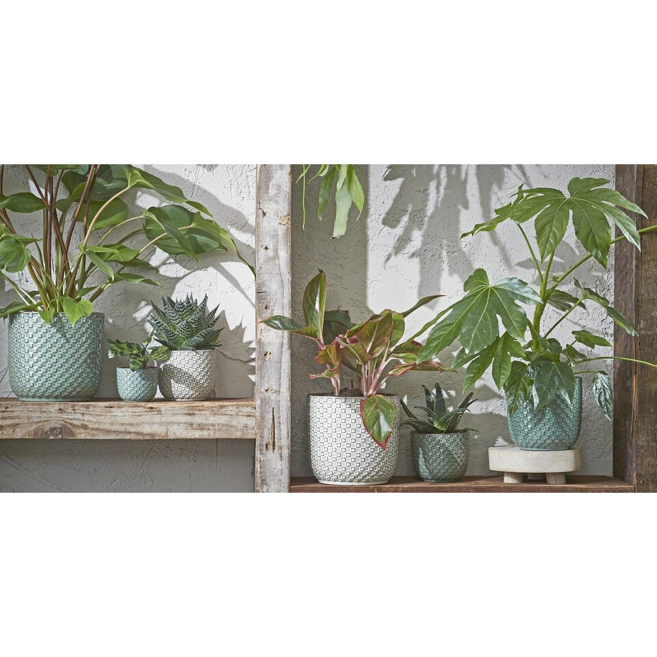 Mica Decorations - Plantenpot-bloempot - Keramiek Wit - D11 X H9 Cm 6 Mica Decorations - Plantenpot-bloempot - Keramiek Wit - D11 X H9 Cm - Afbeelding 4