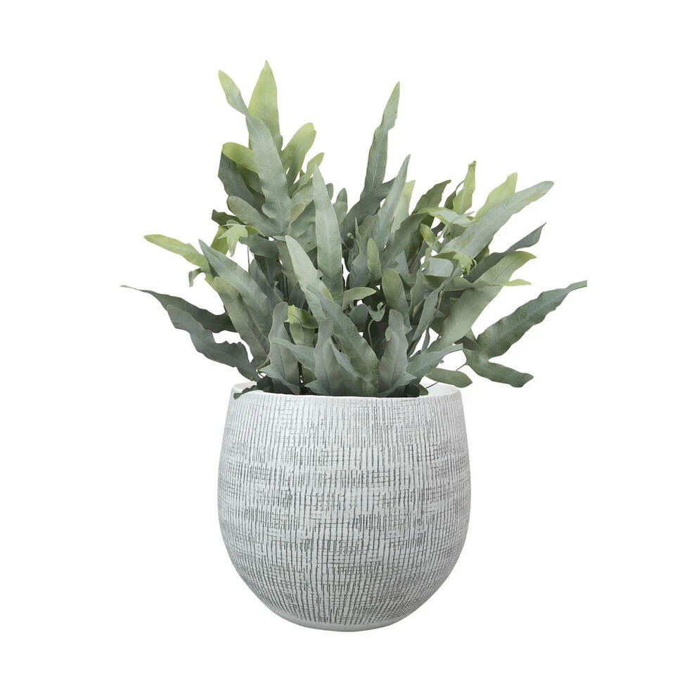 Steege Plantenpot - Moderne Look - Wit - Keramiek - 26 X 25 Cm 4 Steege Plantenpot - Moderne Look - Wit - Keramiek - 26 X 25 Cm - Afbeelding 2