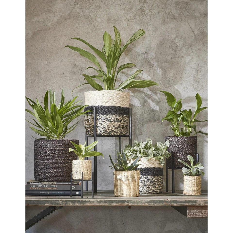 Mica Decorations Bloempot - Rotan - Zwart - Jute - 16 X 16 Cm 4 Mica Decorations Bloempot - Rotan - Zwart - Jute - 16 X 16 Cm - Afbeelding 2